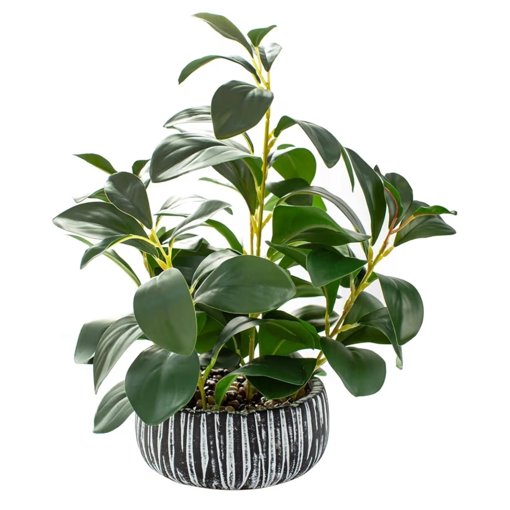 Alpha Acc NWT 12.8"H Faux Baby Rubber Plant In Stoneware Pot Peperomia Obtusifol